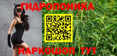 бошки Обнинск