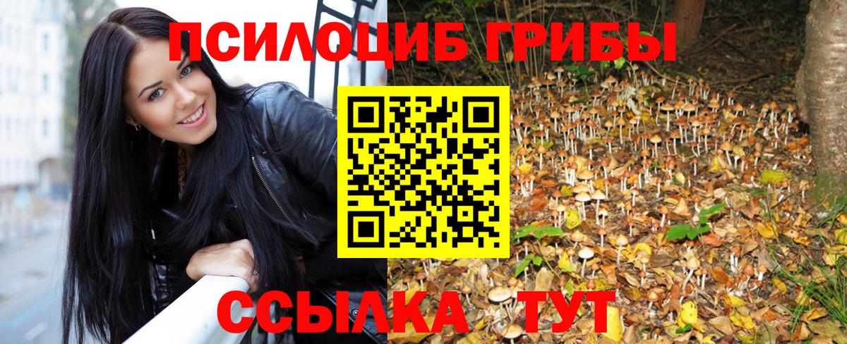 Тамбов  Галлюциногенные грибы прущие грибы  Вход с VPN 